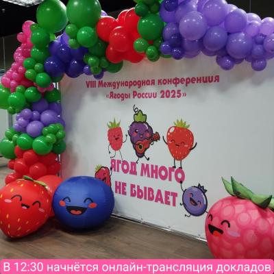 Image 2025 02 20 221151